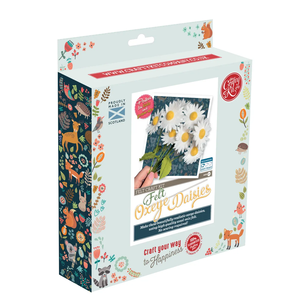 Felt Daisies Craft Kit