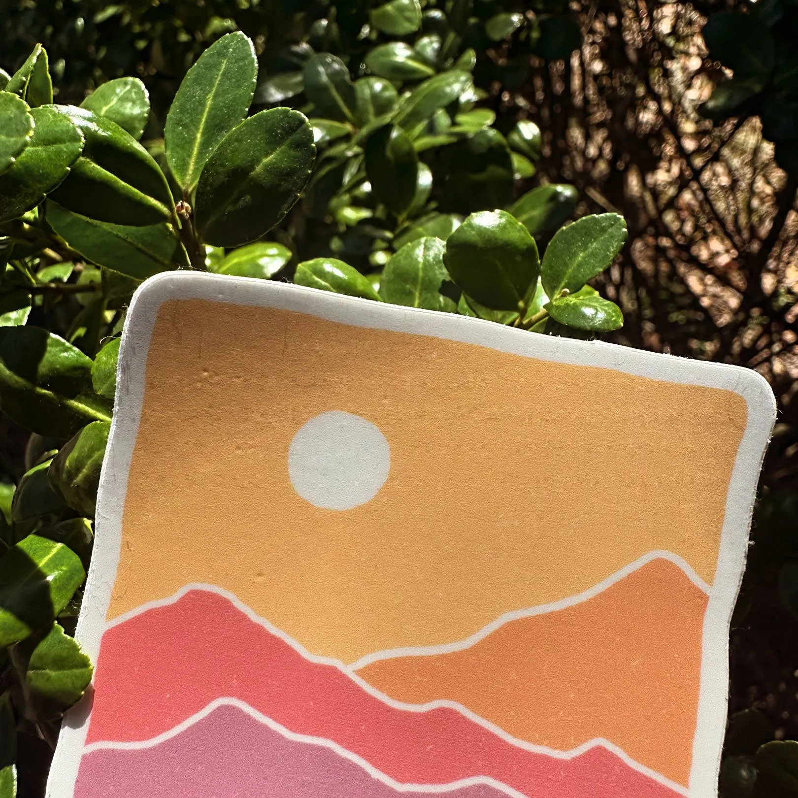 Range of Color | Sticker