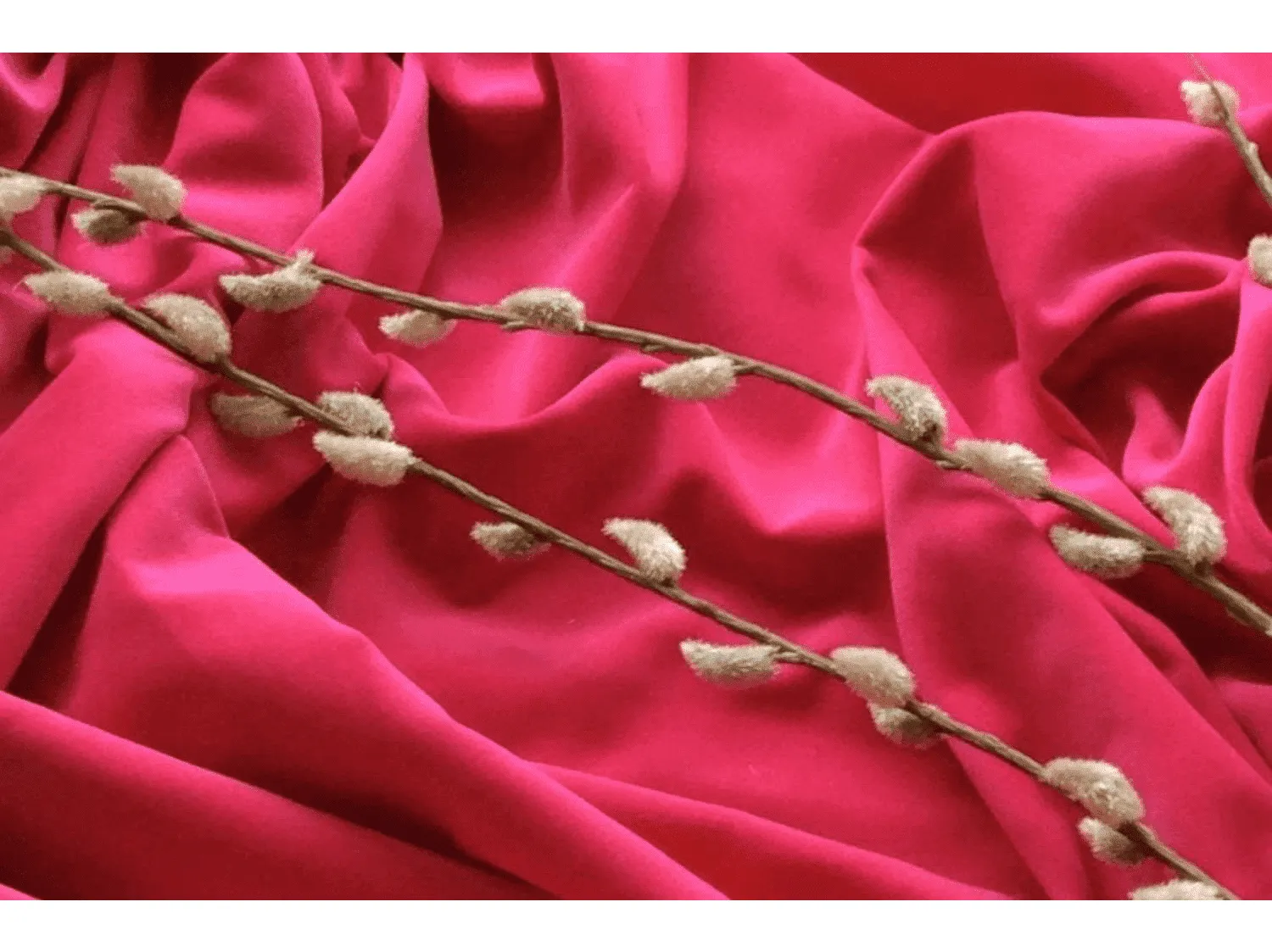 Shocking Pink / Cerise Hot Pink Cotton Velvet  fabric Material  Velveteen - Ideal or Costume,  Crafting, Dressmaking & More - 112 cms - 240 gsm