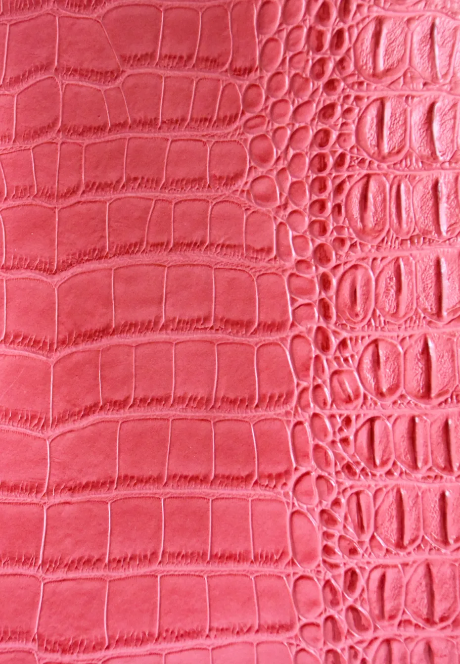 The Everything Crossbody
