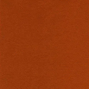 Wool Felt Sheet in Pumpkin